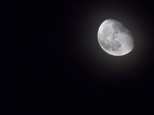 Free stock photo of moon