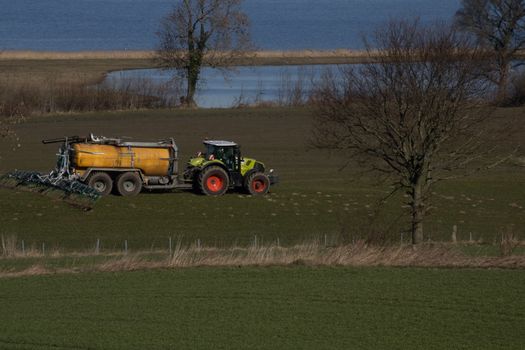 Claas tractor on meadow delivering manure