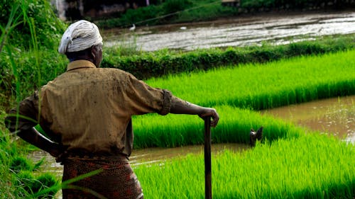 Free stock photo of asia, beautiful, country