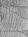 Gray Scale Photo of a Wall