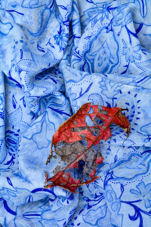 Autumn Leaf on Blanket