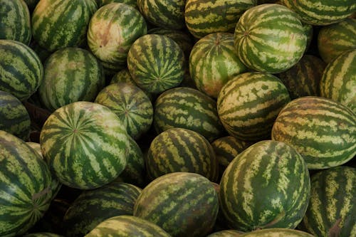 A Bunch of Watermelons 