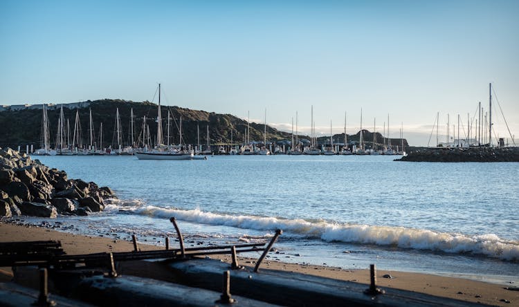 Boats On Harbor