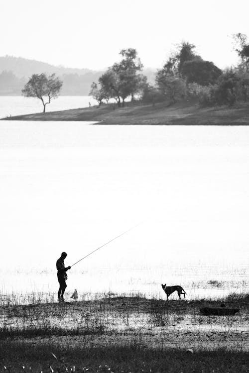 Silhouette of a Man and a Dog Near Body of Water