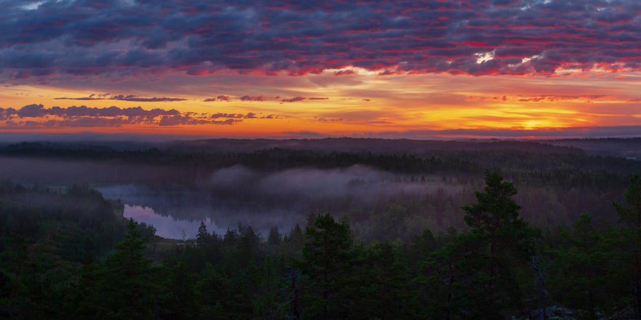 Scenic View of a Lake in the Middle of a Forest During Sunset