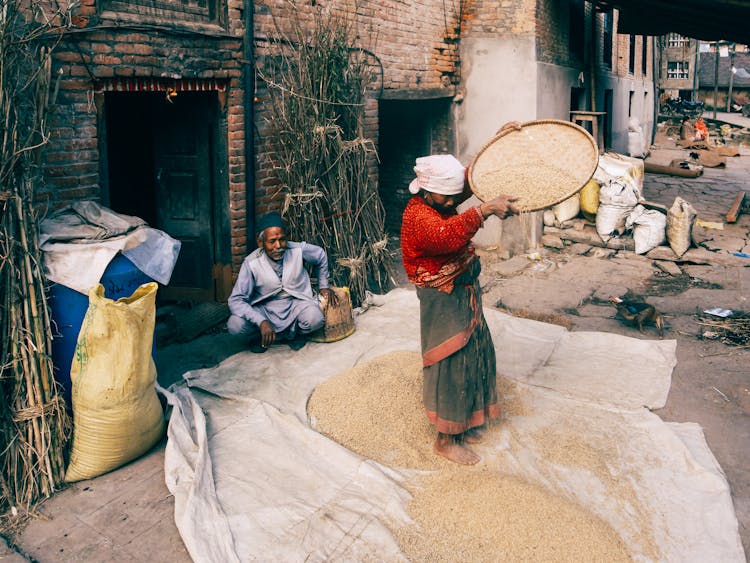 A Woman Winnowing