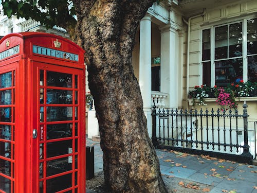 Free Red Telephone Booth Near a Tree Trunk Stock Photo