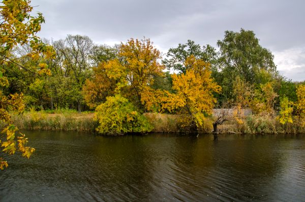 An autumn riverbank in low golden light — photo by Vadim Koval on Pexels