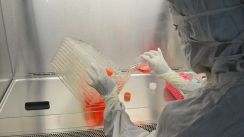 Stem cell clinics and the gap between a licensed therapy and a marketed one