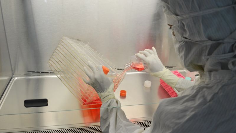 A scientist in full protective gear working in a laboratory on research with cell cultures.