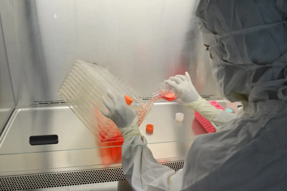 Stem Cell Therapy in Germany: Revolutionary Healthcare