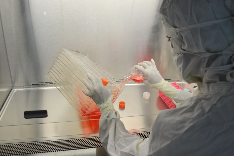 In-Vivo Gene Editing