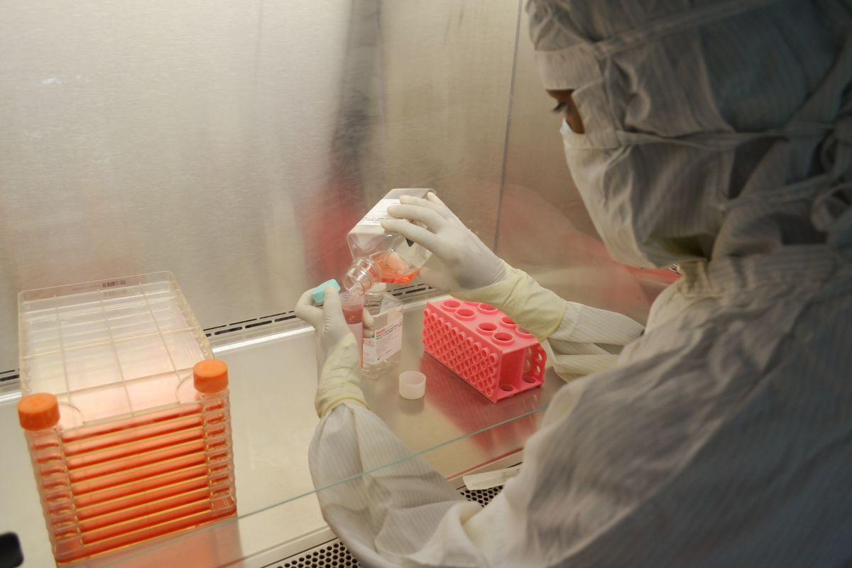 Scientist processing a sample at our Manjeri lab