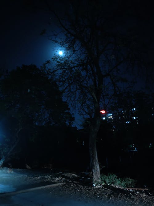 Free stock photo of night background