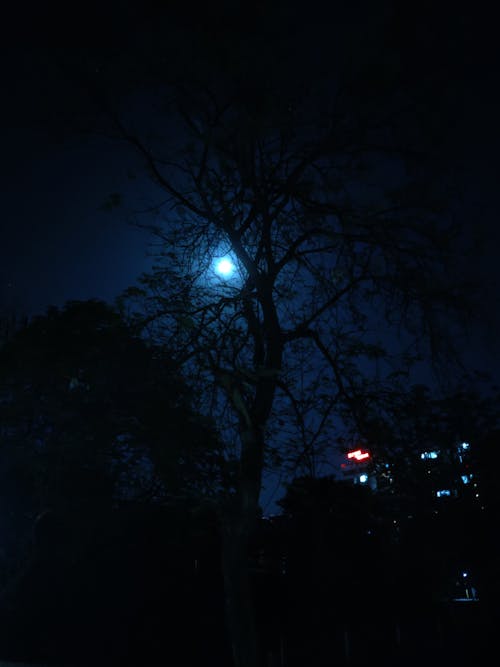 Free stock photo of night moon