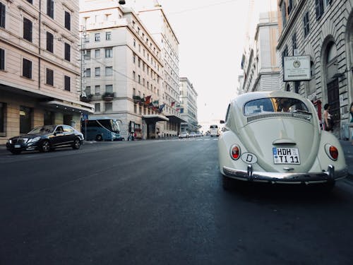 Foto stok gratis jalan, kota, mobil putih