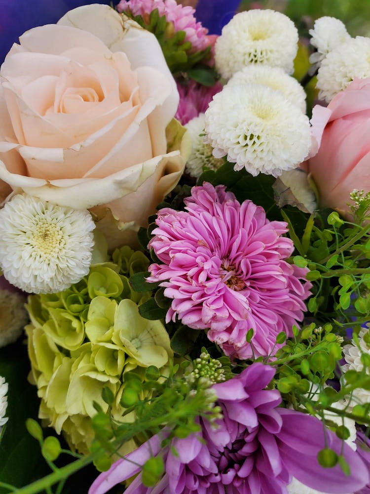 Assorted Flowers In Close-up Photography