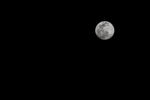 Foto profissional grátis de céu, fundo preto, lua cheia