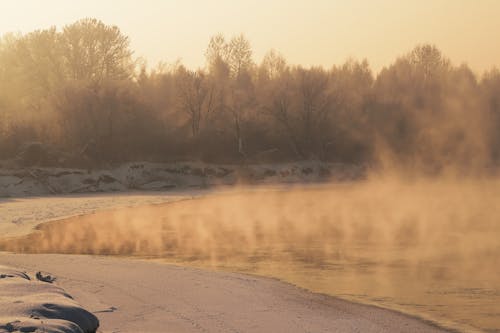 Foto profissional grátis de areia, árvores nuas, com frio