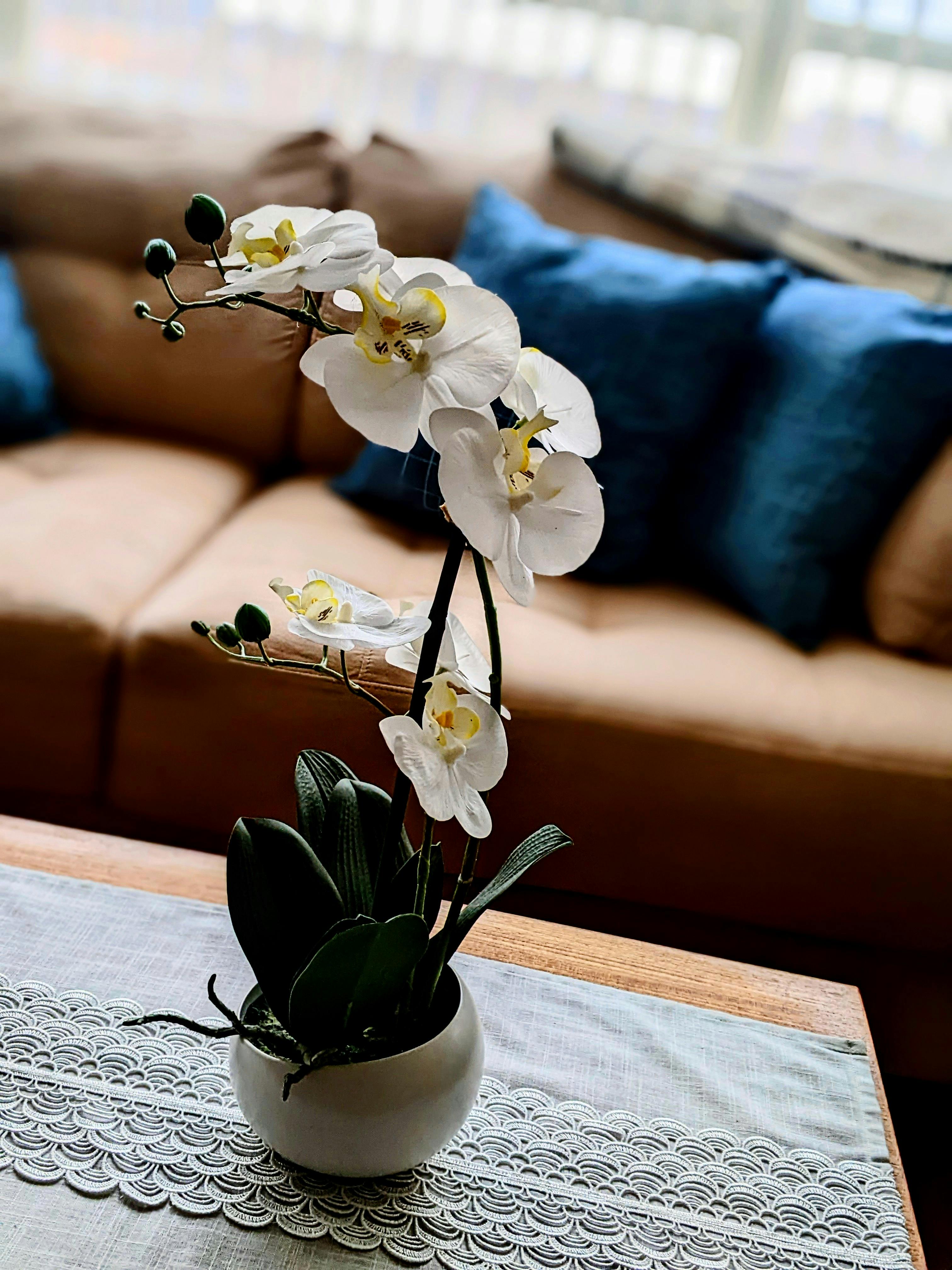 Statue on a Pedestal Near HalfMast Flags · Free Stock Photo