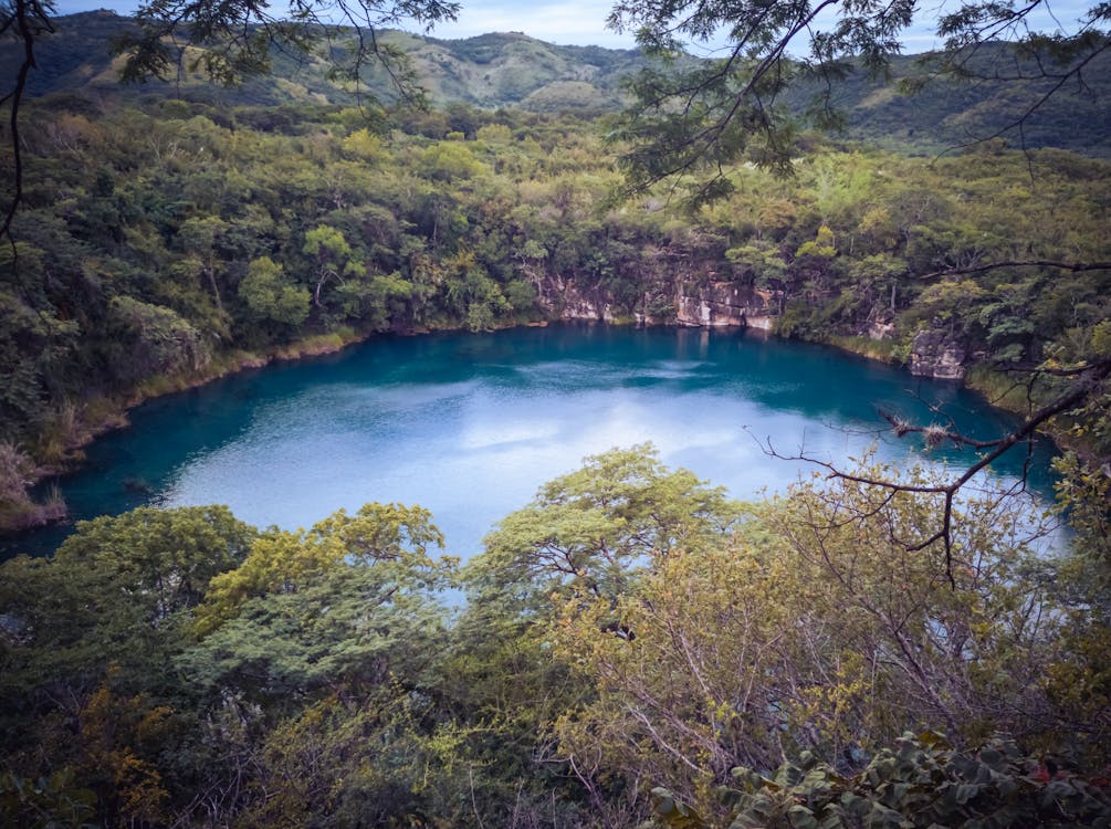 ağaçlar, doğa, gizli lagün içeren Ücretsiz stok fotoğraf