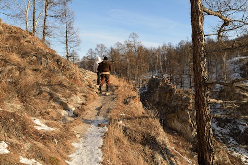 People Walking on a Dirt Pathway Near Rocks and Bare Trees