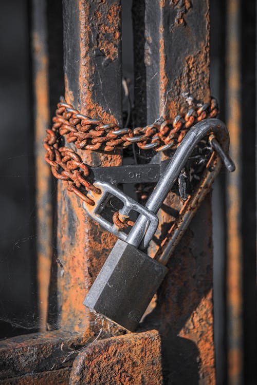 Grey Padlock and Chain on a Metal Fence