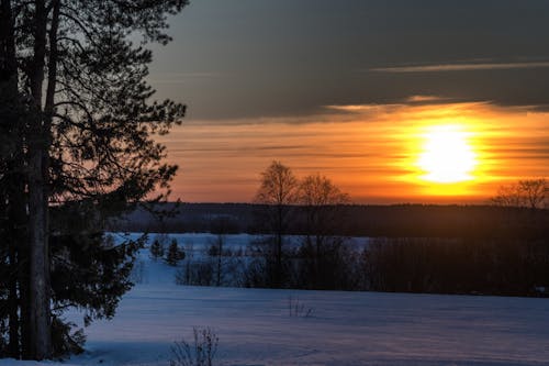 Sunset View from the Snow Covered Field