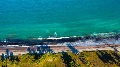 Free Beach Aerial Photography Stock Photo