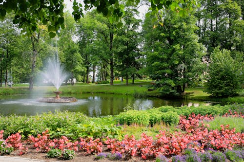 Water Fountain in the Middle of Pond