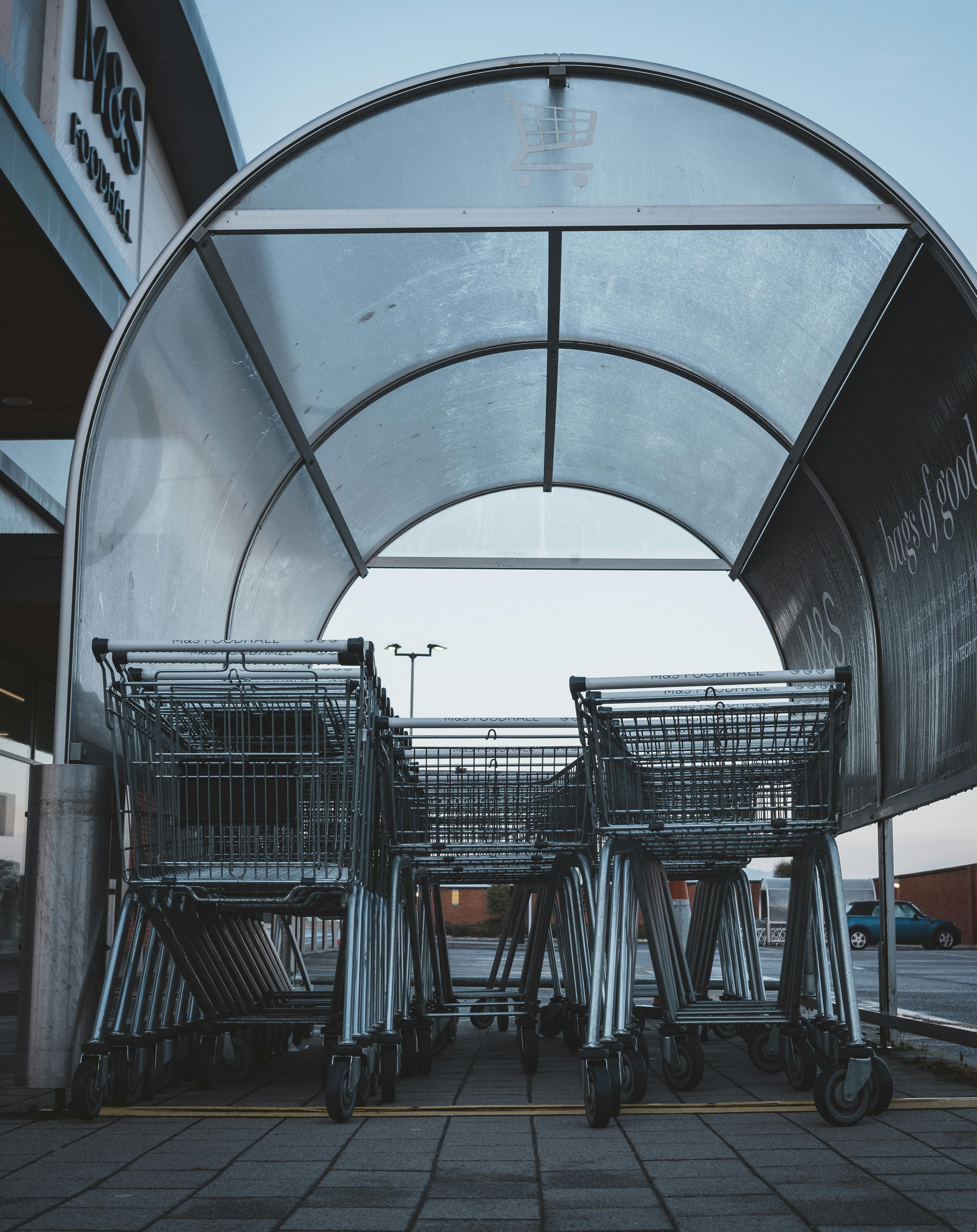 shopping carts shelter