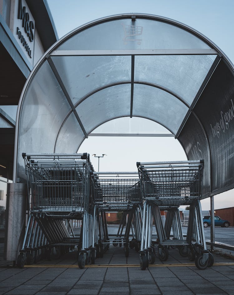 Shopping Carts Shelter