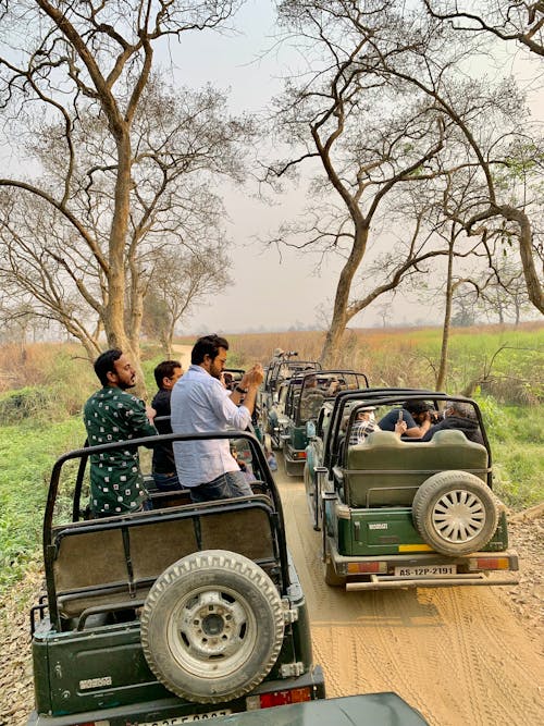Free People Riding Jeep Wrangler in a Safari Stock Photo