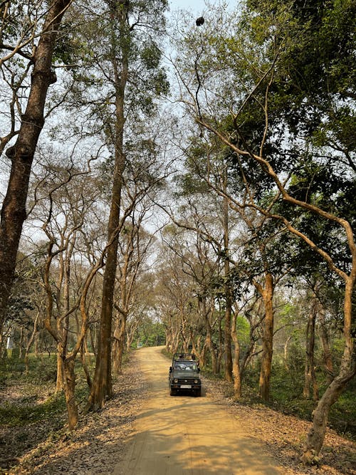 A 4x4 Utility Vehicle on Off Road