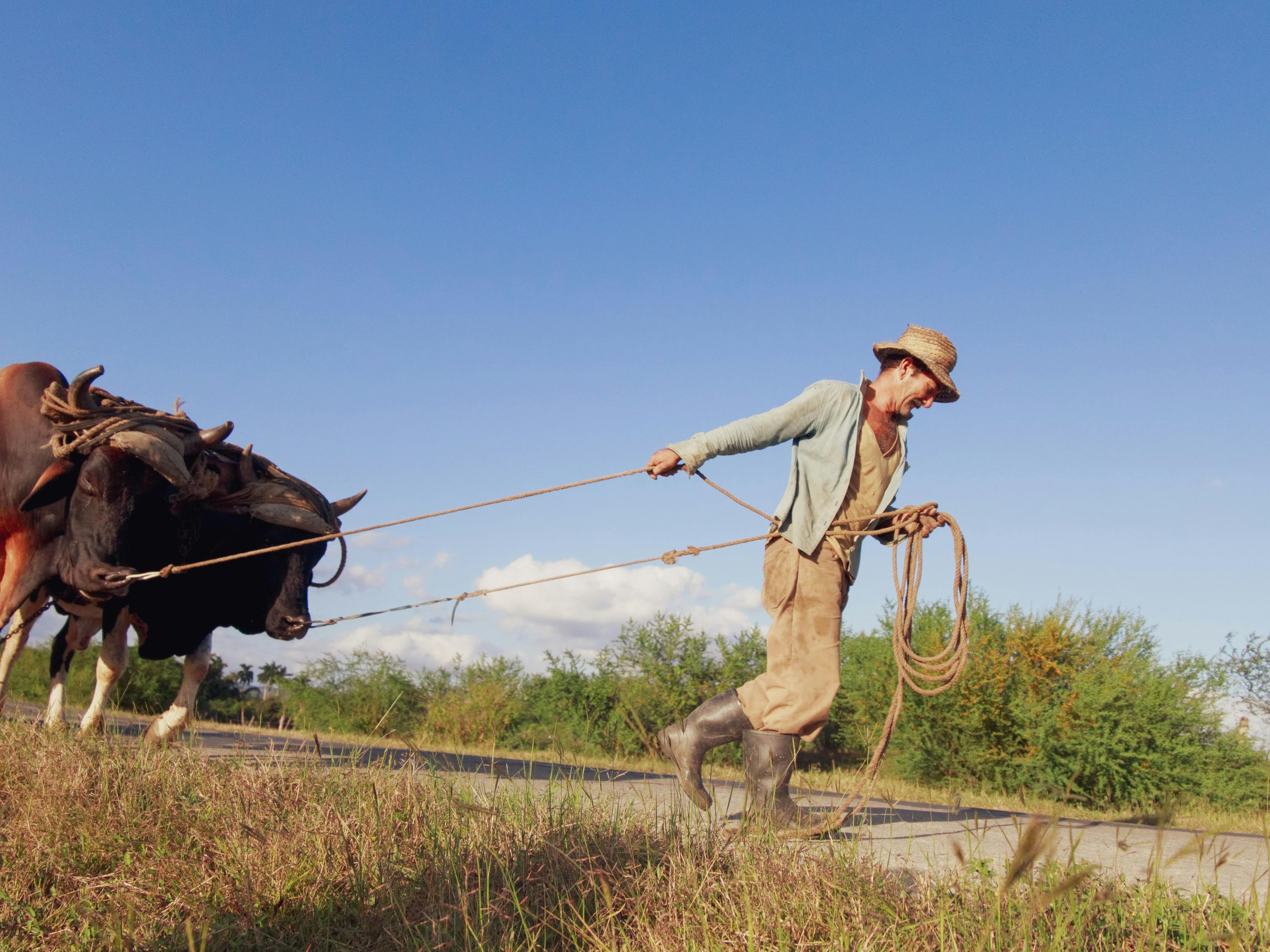 Pulling String Photos, Download Free Pulling String Stock Photos & HD