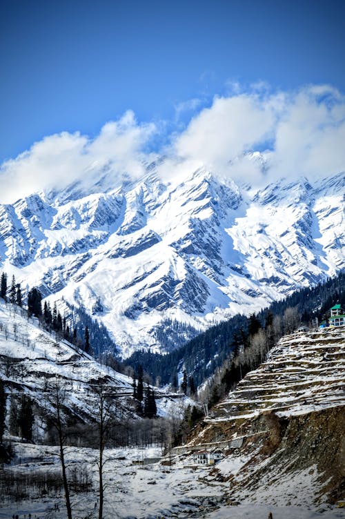 Foto profissional grátis de com frio, fotografia da natureza, himachal pradesh