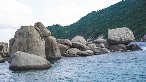 Gray Rocks on Sea Shore