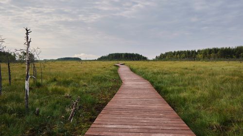 Free Curving pathway through a lush meadow near St. Petersburg, offering a tranquil and scenic landscape. Stock Photo