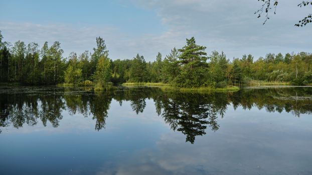 Calm waters reflect trees and sky in a serene Saint Petersburg landscape.