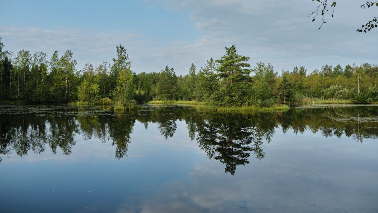 Gratis lagerfoto af fredelig, himmel, naturfotografering