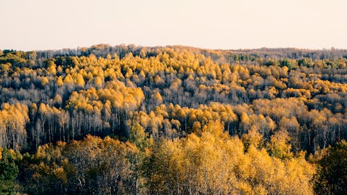 Fotobanka s bezplatnými fotkami na tému fotografia prírody, krajina, letecké snímkovanie