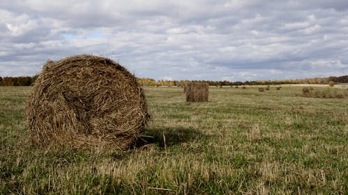 Darmowe zdjęcie z galerii z bele siana, pochmurne niebo, pole