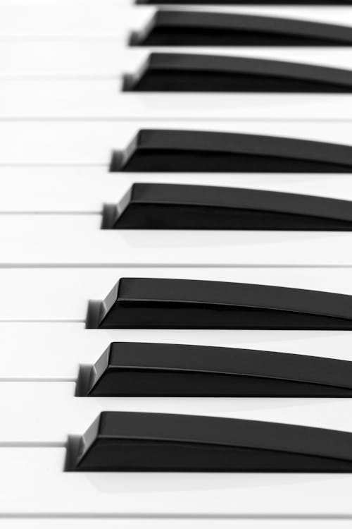 免费 白色和黑色钢琴键 素材图片