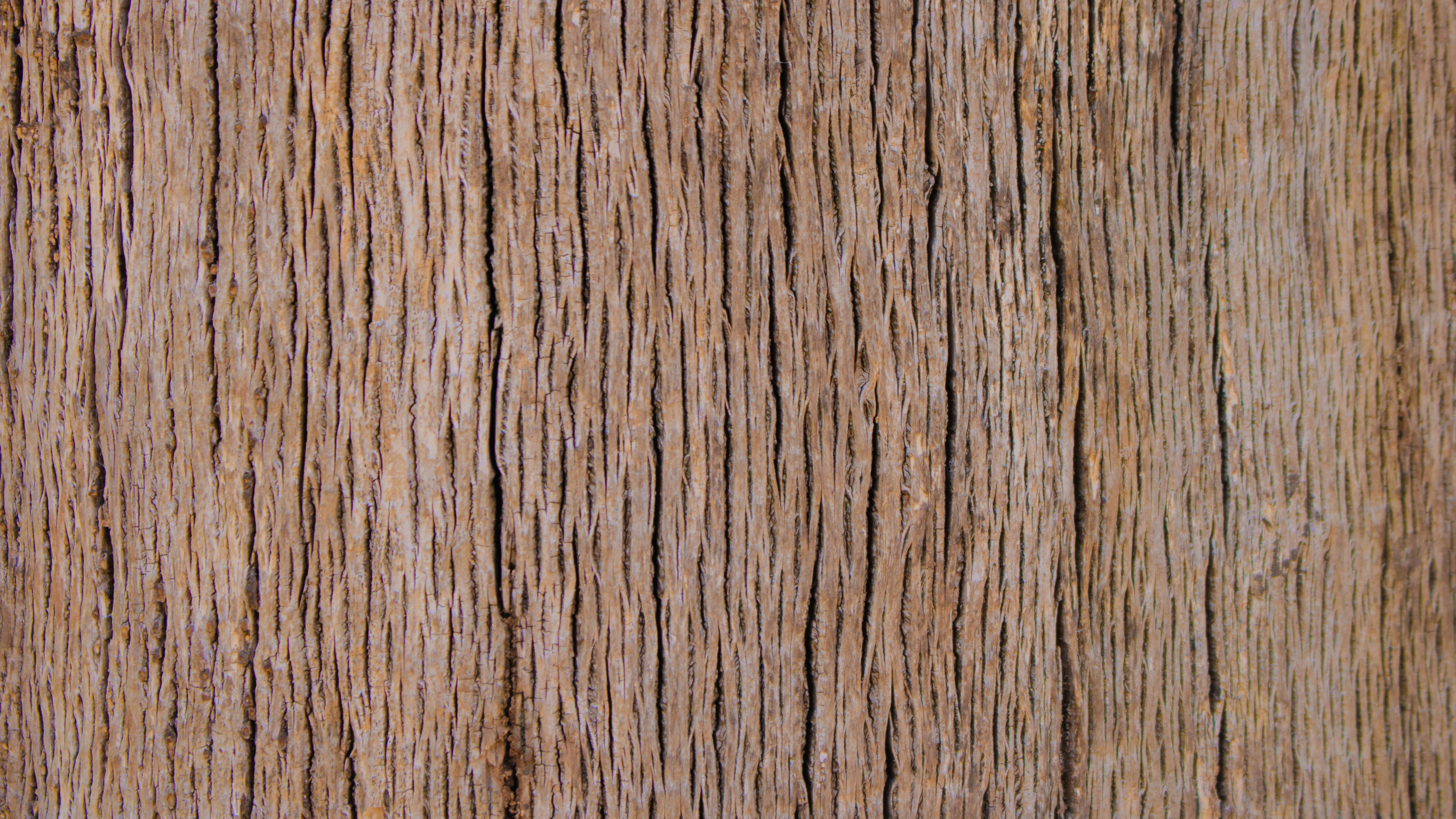 テクスチャ 壁紙 木材の無料の写真素材
