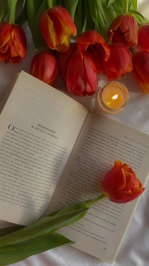 Top view of an Open Book with Tulip Flower