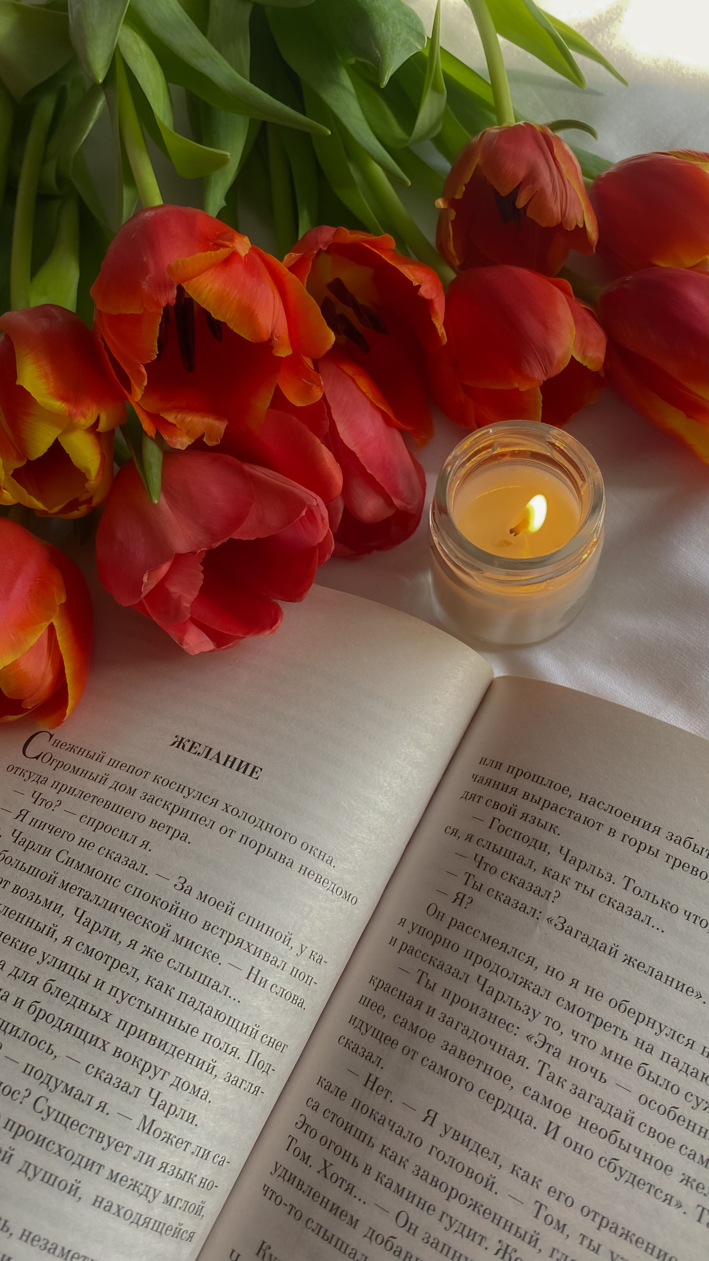 A warm, inviting setup featuring orange tulips, a lit candle, and an open book.