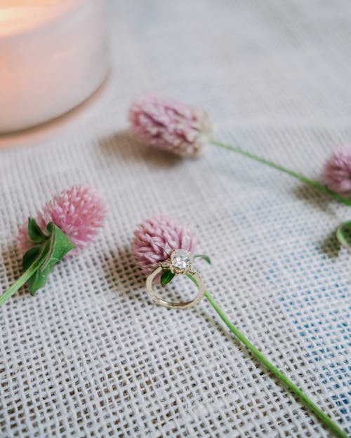 Pink Flowers on the Table