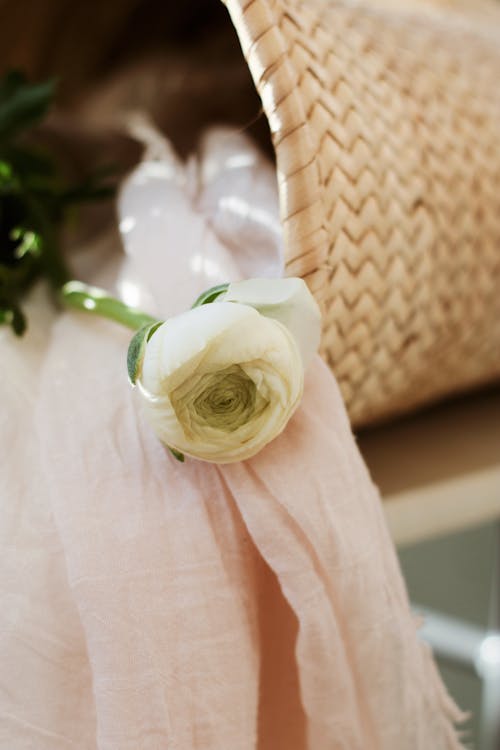 수직 쐈어, 하얀 꽃, 하얀 장미의 무료 스톡 사진