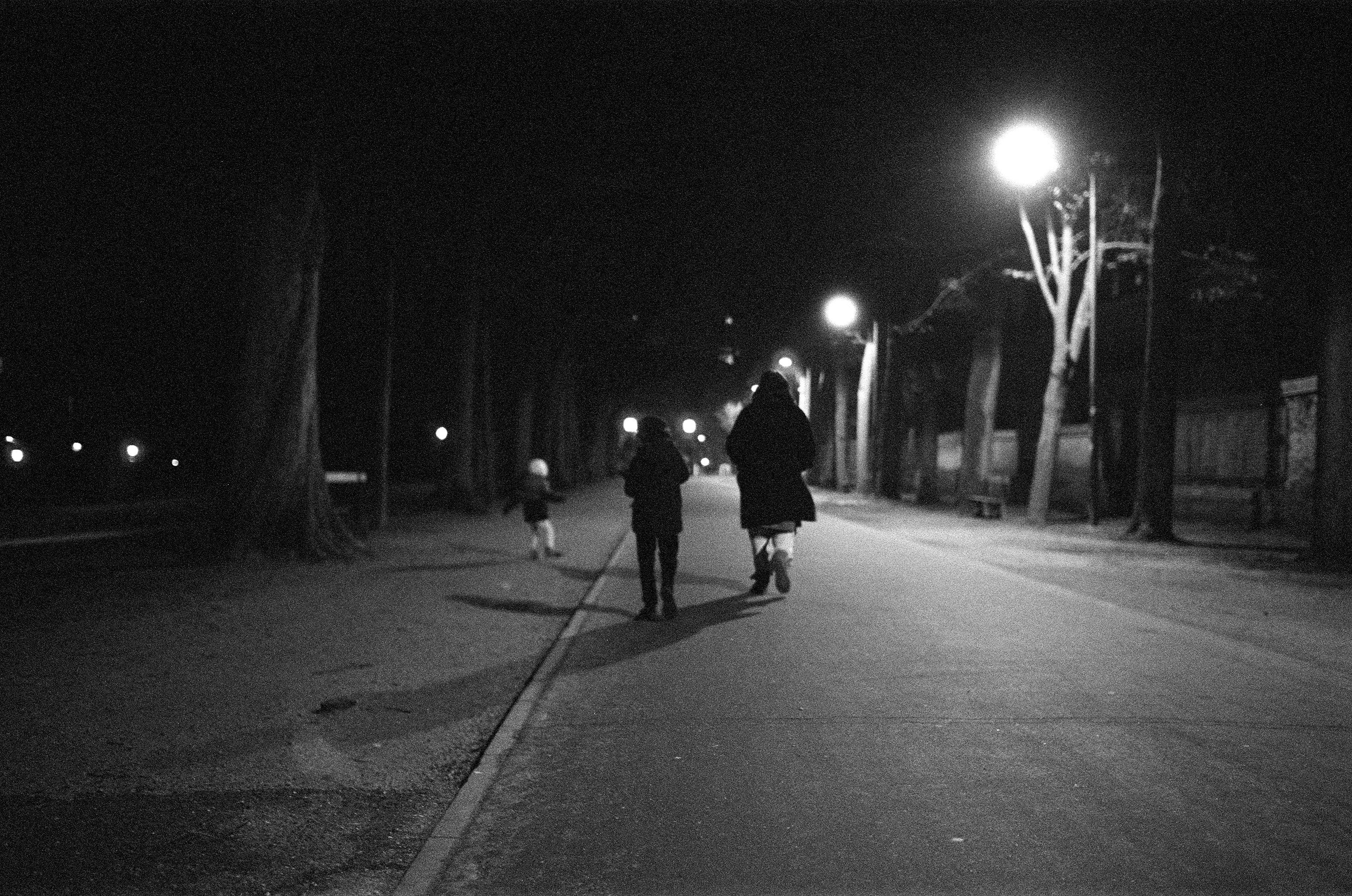 Grayscale Photo of People Walking on the Street · Free Stock Photo