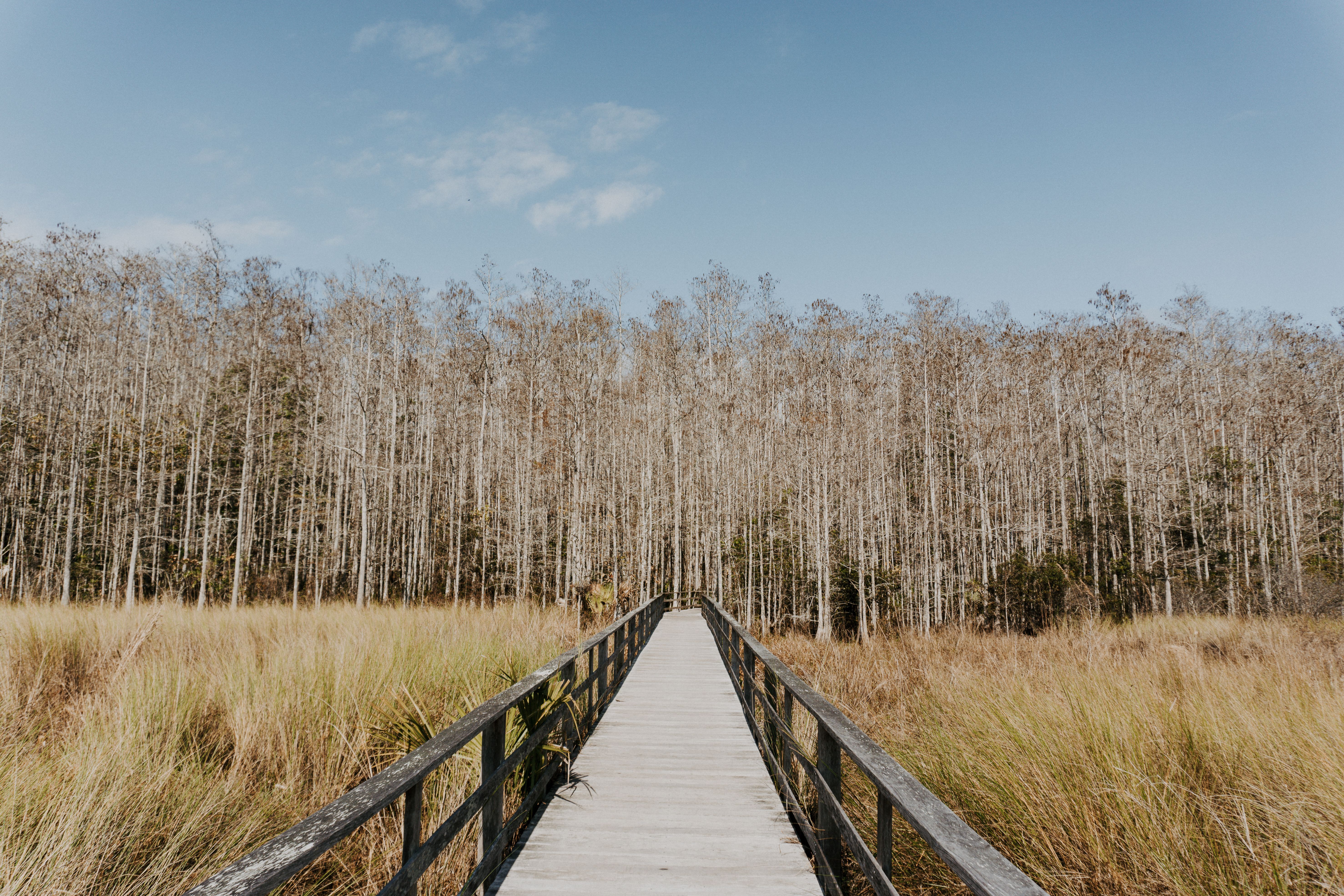 Gilchrist County, Florida